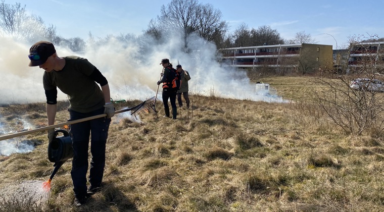 Naturteamet bruger afbrænding som en del af naturpleje